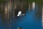 Lake Rancho Santa Margarita